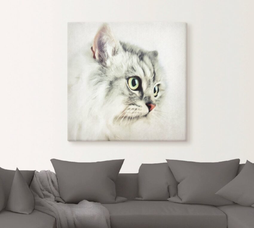 Artland Wandbild »Katzenporträt«, Haustiere (1 Stück), in vielen Größen & Produktarten - Alubild / Outdoorbild für den Außenbereich, Leinwandbild, Poster, Wandaufkleber / Wandtattoo auch für Badezimmer geeignet-Bilder-Ideen für dein Zuhause von Home Trends