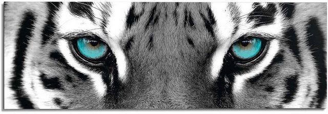 Reinders! Wandbild »Sibirischer Tiger«-Bilder-Inspirationen