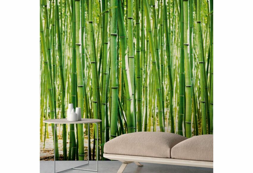 Bodenmeister Fototapete »Bambus-Wald grün«-Tapeten-Ideen für dein Zuhause von Home Trends