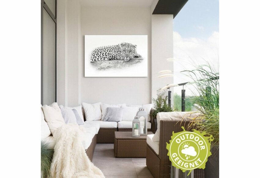 Artland Wandbild »Leopard High Key Optik«, Wildtiere (1 Stück), in vielen Größen & Produktarten - Alubild / Outdoorbild für den Außenbereich, Leinwandbild, Poster, Wandaufkleber / Wandtattoo auch für Badezimmer geeignet-Bilder-Ideen für dein Zuhause von Home Trends