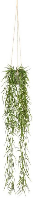 Kunstranke »Tillandsia aeranthos im Hängetopf« Sukkulente, Creativ green, Höhe 90 cm, im Hängetopf aus Kunststoff-Kunstpflanzen-Inspirationen