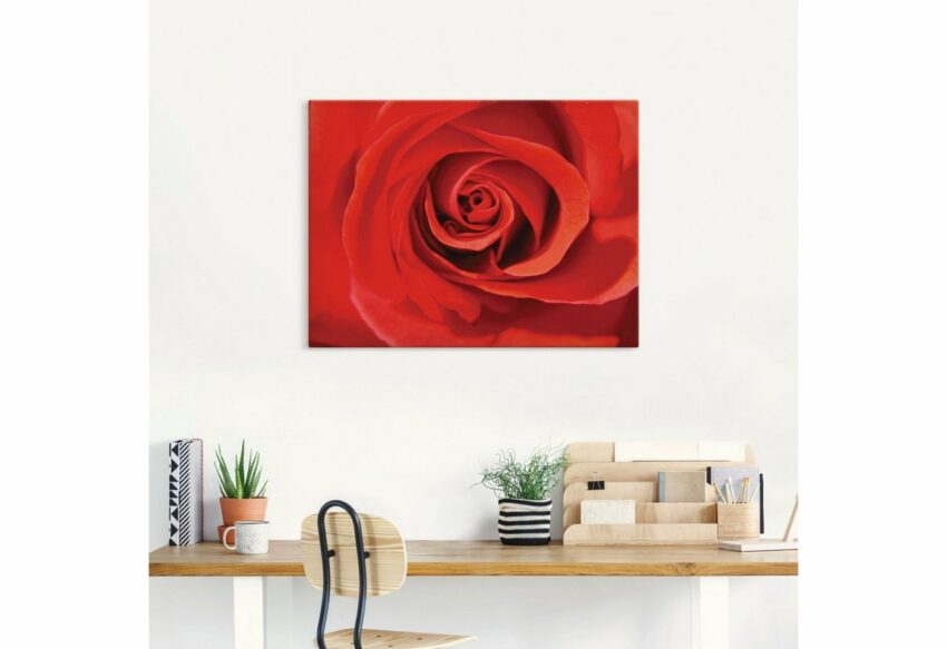 Artland Wandbild »Rose rot_Detail«, Blumenbilder (1 Stück), in vielen Größen & Produktarten - Alubild / Outdoorbild für den Außenbereich, Leinwandbild, Poster, Wandaufkleber / Wandtattoo auch für Badezimmer geeignet-Bilder-Ideen für dein Zuhause von Home Trends