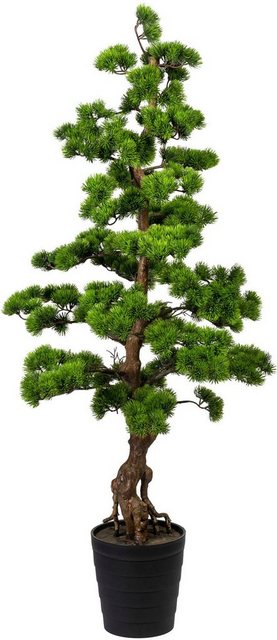 Kunstbonsai »Bonsai Kiefer« Bonsai Kiefer, Creativ green, Höhe 140 cm-Kunstpflanzen-Inspirationen