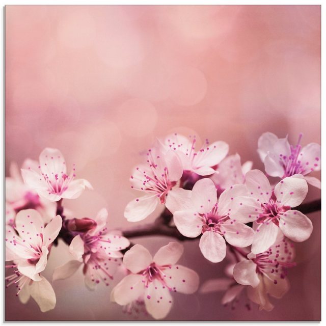 Artland Glasbild »Kirschblüten«, Blumen (1 Stück)-Bilder-Inspirationen