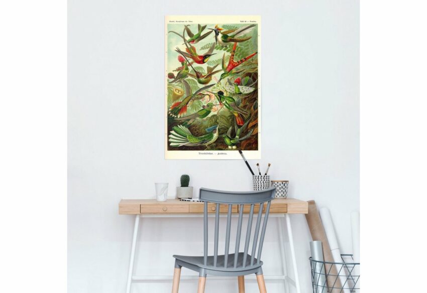 Reinders! Poster »Kolibris Lithografie«, (1 Stück)-Bilder-Ideen für dein Zuhause von Home Trends