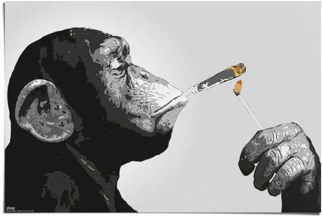 Reinders! Poster »Steez Rauchen«, (1 Stück)-Bilder-Inspirationen