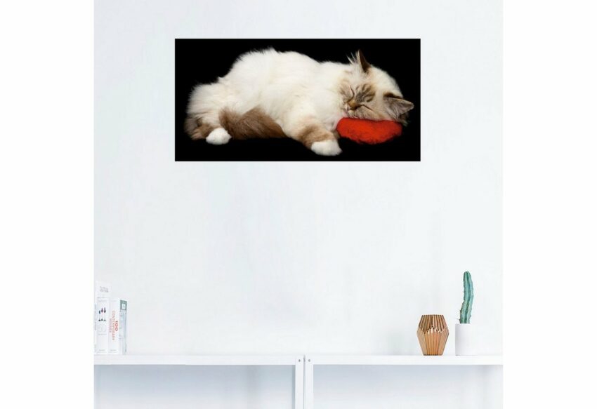 Artland Wandbild »Müde Katze«, Haustiere (1 Stück), in vielen Größen & Produktarten - Alubild / Outdoorbild für den Außenbereich, Leinwandbild, Poster, Wandaufkleber / Wandtattoo auch für Badezimmer geeignet-Bilder-Ideen für dein Zuhause von Home Trends
