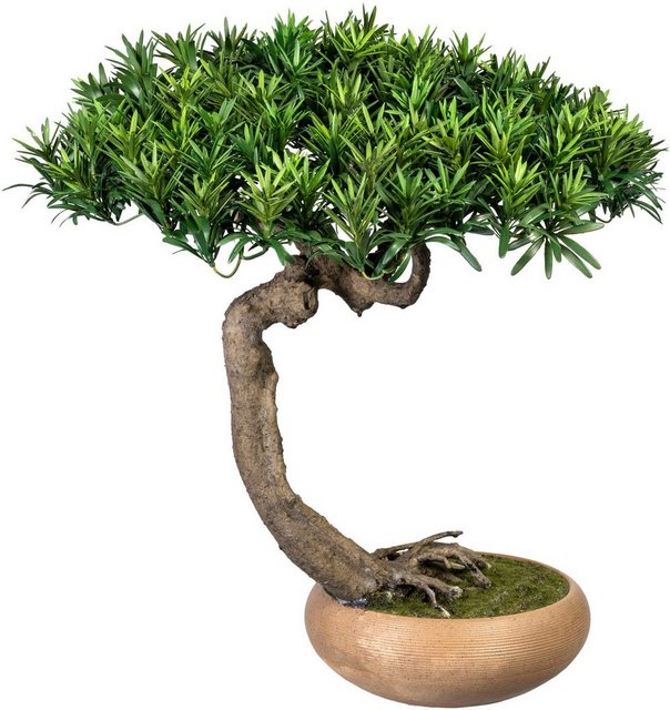 Kunstbonsai »Bonsai Podocarpus Shankan« Bonsai Podocarpus Shankan, Creativ green, Höhe 60 cm, in Keramikschale-Kunstpflanzen-Inspirationen