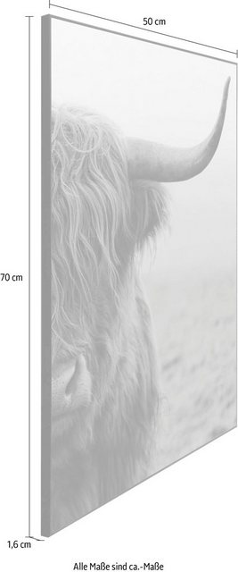 Reinders! Wandbild »Slim Frame Black 50x70 Highlander«-Bilder-Inspirationen