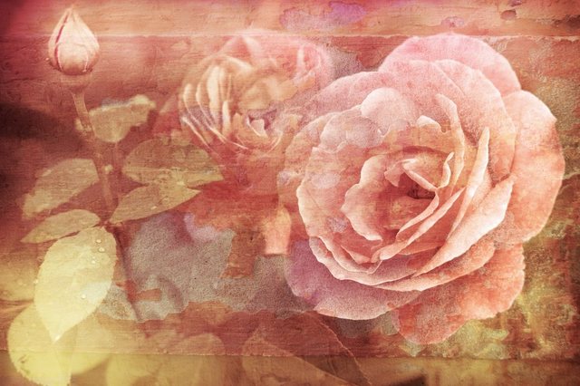 Papermoon Fototapete »Vintage Florals«, glatt-Tapeten-Inspirationen