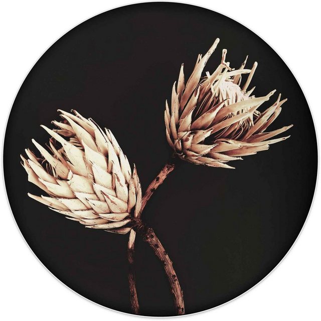 Reinders! Wandbild »Wandbild Trockenblumen Exotisch - Vintage - Protea«, Blumen (1 Stück)-Bilder-Inspirationen