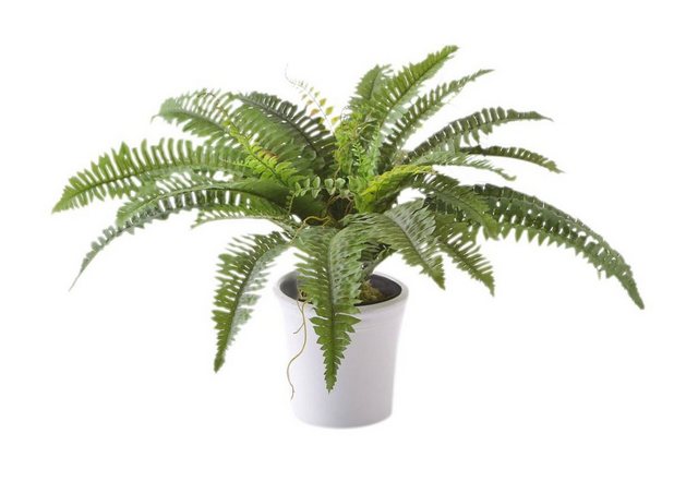 Kunstpflanze, Creativ green, Höhe 70 cm-Kunstpflanzen-Inspirationen