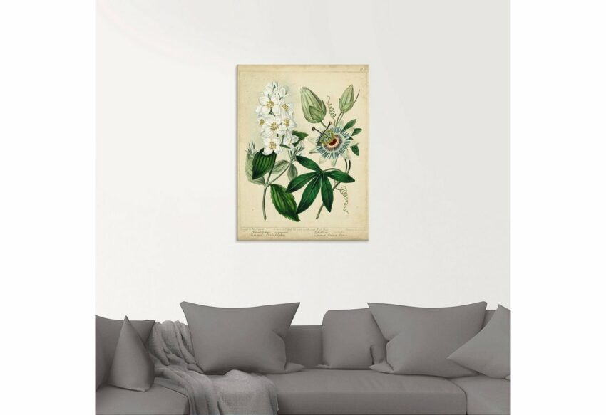 Artland Glasbild »Federnelke II«, Blumen (1 Stück)-Bilder-Ideen für dein Zuhause von Home Trends