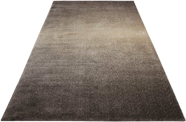 Teppich »Raffael«, Wecon home Basics, rechteckig, Höhe 8 mm, Wohnzimmer-Teppiche-Inspirationen