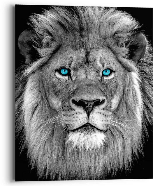 Reinders! Wandbild »Löwe mit blaue Augen«-Bilder-Inspirationen