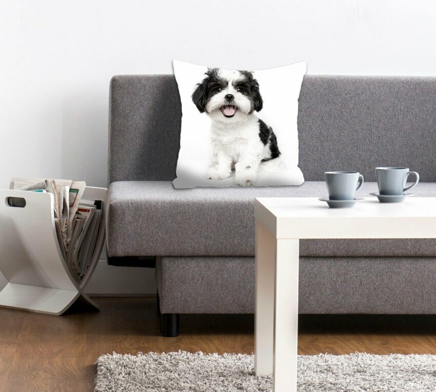 Kissenhülle »Malteser«, queence (1 Stück), mit einem Malteser Hund-Kissen-Ideen für dein Zuhause von Home Trends