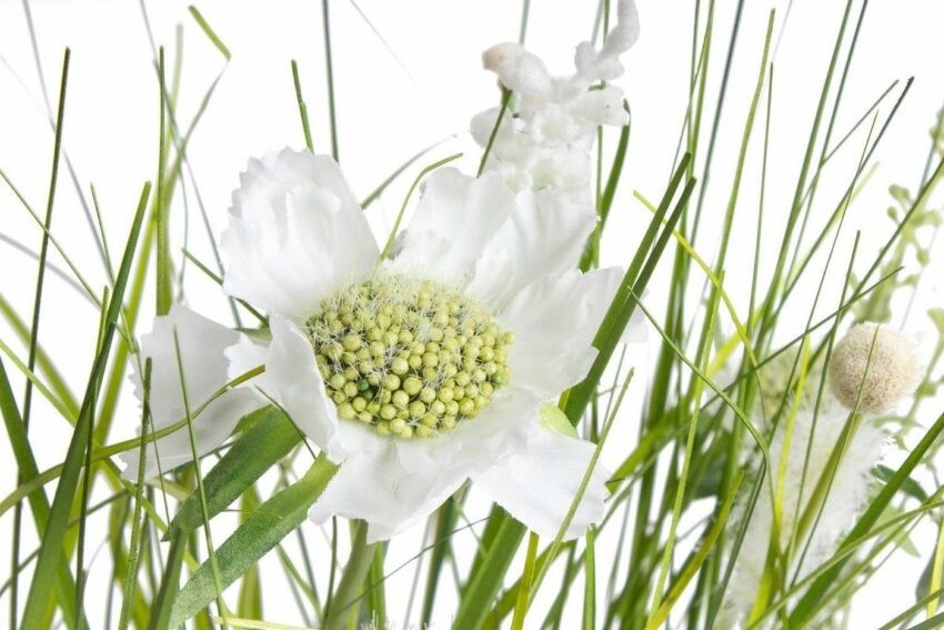 Kunstblume »Wiesenblumen im Kunststofftopf« Gras, Botanic-Haus, Höhe 37 cm-Kunstpflanzen-Ideen für dein Zuhause von Home Trends