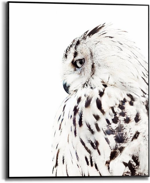 Reinders! Bild mit Rahmen »White Owl«, (1 Stück)-Bilder-Inspirationen