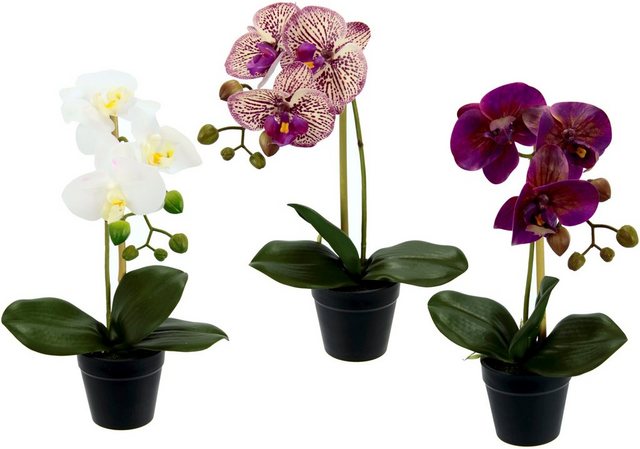 Kunstorchidee »Phalaenopsis«, I.GE.A., Höhe 30 cm, im Kunststofftopf, 3er Set-Kunstpflanzen-Inspirationen