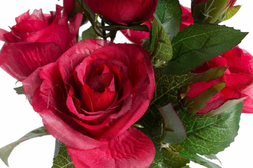 Kunstblume »Rosenbusch« Rose, Botanic-Haus, Höhe 27 cm-Kunstpflanzen-Ideen für dein Zuhause von Home Trends