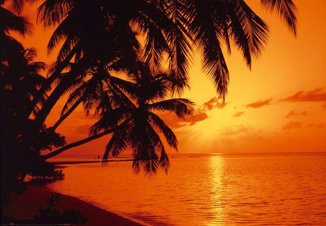 Papermoon Fototapete »Tropic Sunset«, matt, BlueBack, 7 Bahnen, 350 x 260 cm-Tapeten-Inspirationen