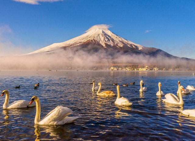 Papermoon Fototapete »Mount Fuji«, glatt-Tapeten-Inspirationen