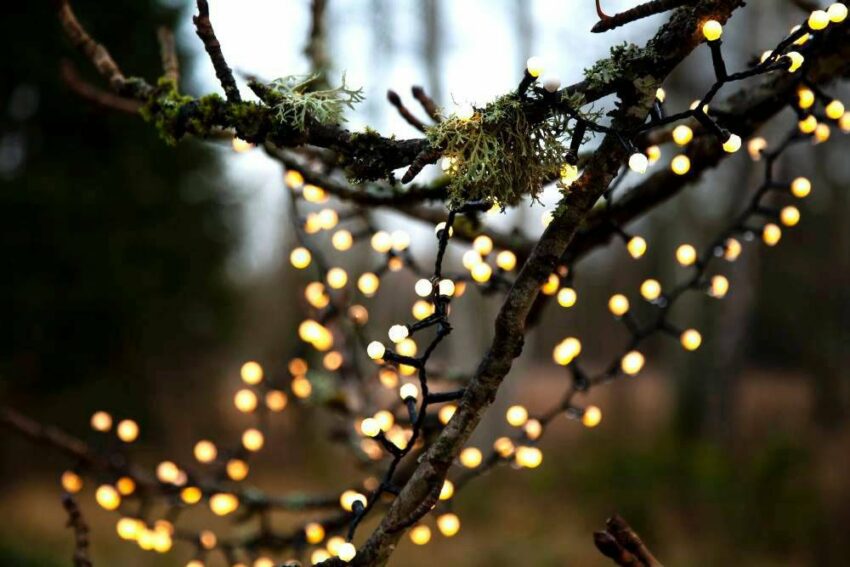 EGLO LED-Lichterkette »BERRY MINI«, 700-flammig, schwarz / 700X0,066W / Beleuchtung - Licht - Weihnachtsbeleuchtung - Weihnachtsdeko - Dekolicht - Dekoration - Winter - Winterdeko - Weihnachten-Lampen-Ideen für dein Zuhause von Home Trends