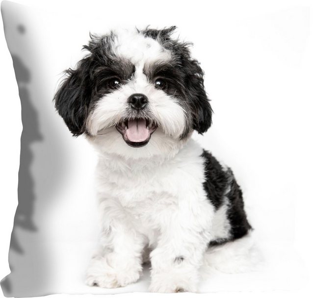 Kissenhülle »Malteser«, queence (1 Stück), mit einem Malteser Hund-Kissen-Inspirationen