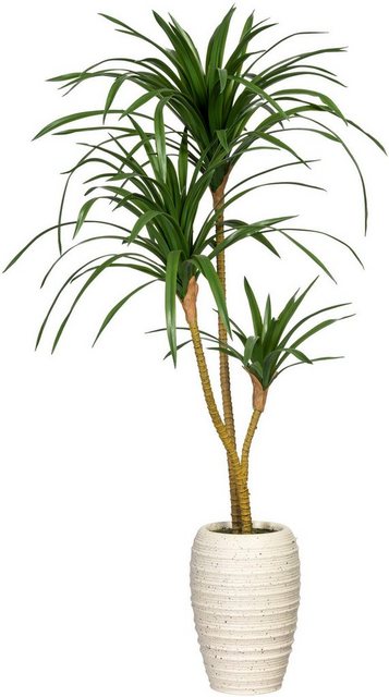 Künstliche Zimmerpflanze »Dracaena marginata« Dracaena marginata, Creativ green, Höhe 100 cm, in Keramikvase-Kunstpflanzen-Inspirationen