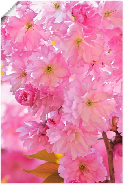 Artland Wandbild »Kirschblüten«, Blumen (1 Stück), in vielen Größen & Produktarten - Alubild / Outdoorbild für den Außenbereich, Leinwandbild, Poster, Wandaufkleber / Wandtattoo auch für Badezimmer geeignet-Bilder-Inspirationen