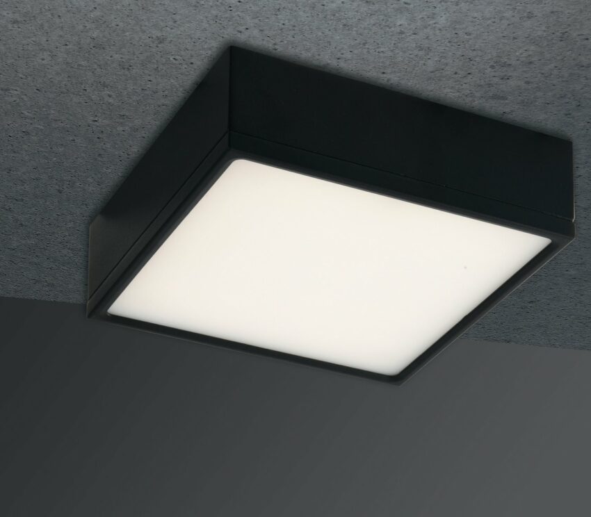 LUCE Design Deckenleuchte »LED-KLIO-Q17 NER«-Lampen-Ideen für dein Zuhause von Home Trends
