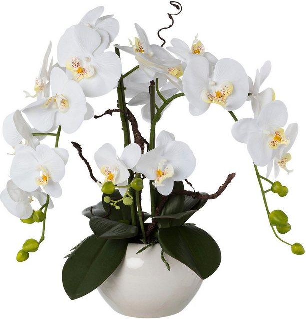 Kunstorchidee »Phalaenopsis«, Creativ green, Höhe 55 cm, im Keramiktopf-Kunstpflanzen-Inspirationen