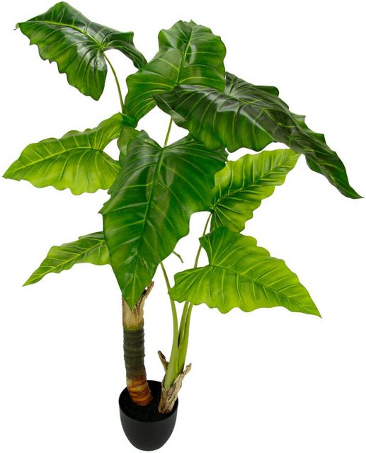 Kunstpflanze »Blattpflanze«, I.GE.A., Höhe 125 cm, im Kunststofftopf-Kunstpflanzen-Inspirationen
