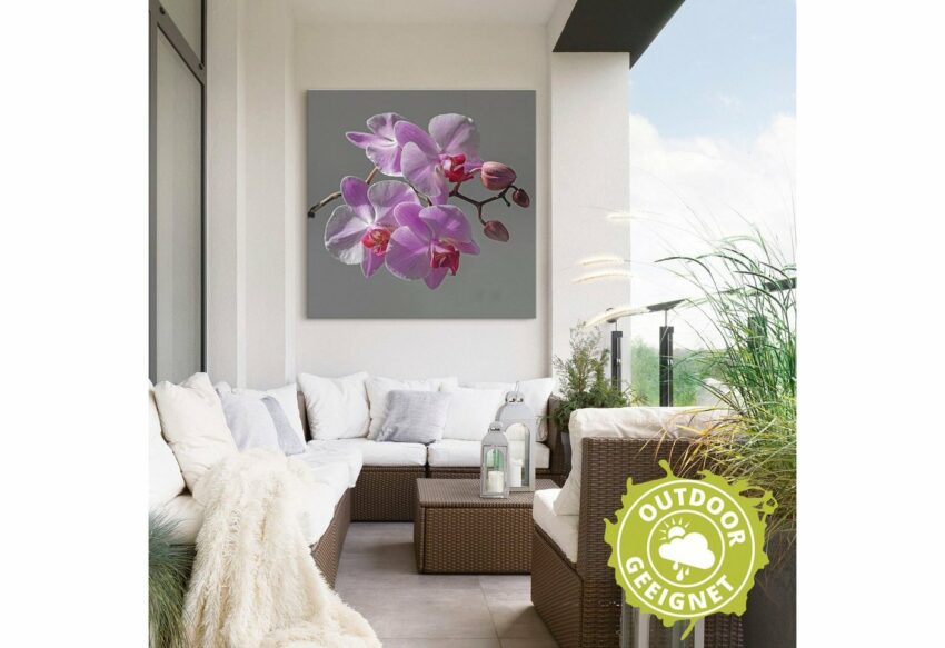 Artland Wandbild »Orchideentraum«, Blumen (1 Stück), in vielen Größen & Produktarten - Alubild / Outdoorbild für den Außenbereich, Leinwandbild, Poster, Wandaufkleber / Wandtattoo auch für Badezimmer geeignet-Bilder-Ideen für dein Zuhause von Home Trends