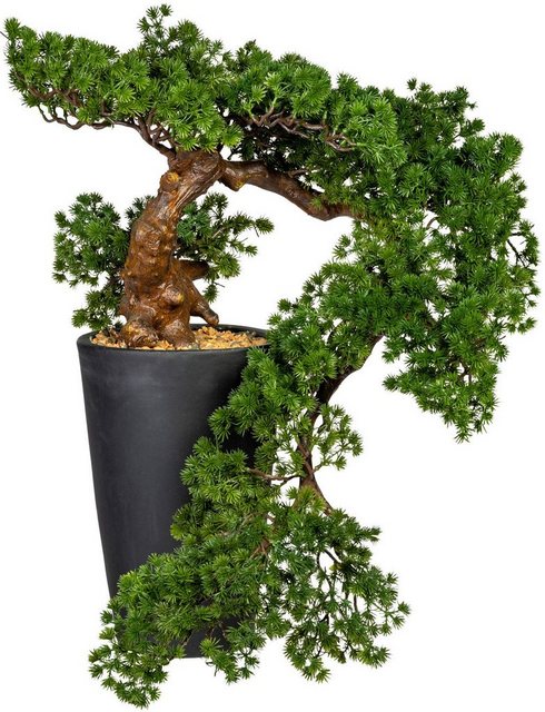 Kunstbonsai »Bonsai Lärche Han-Kengai« Bonsai, Creativ green, Höhe 70 cm, im Magnesiatopf-Kunstpflanzen-Inspirationen