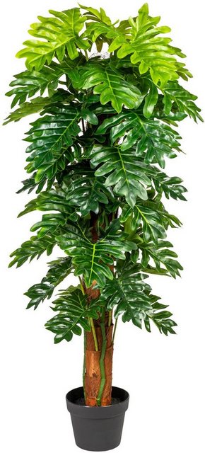 Künstliche Zimmerpflanze »Monsterapflanze« Grünpflanze, Creativ green, Höhe 120 cm-Kunstpflanzen-Inspirationen
