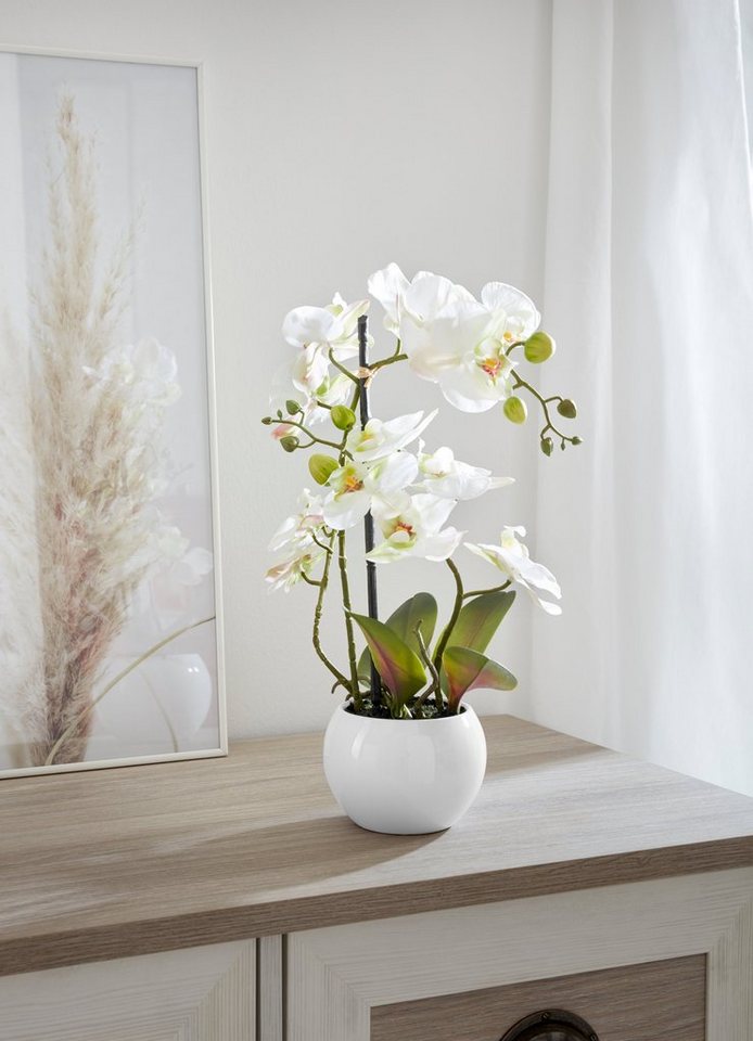 Kunstorchidee »Ernestine« Orchidee, DELAVITA, Höhe 42 cm, Kunstpflanze, im Topf-Kunstpflanzen-Ideen für dein Zuhause von Home Trends