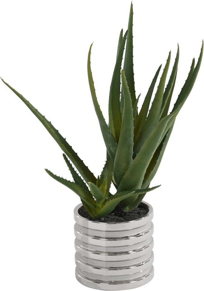 Kunstpflanze »Auvergno« Aloe, Guido Maria Kretschmer Home&Living, Höhe 40 cm, Sukkulente, im Topf-Kunstpflanzen-Ideen für dein Zuhause von Home Trends