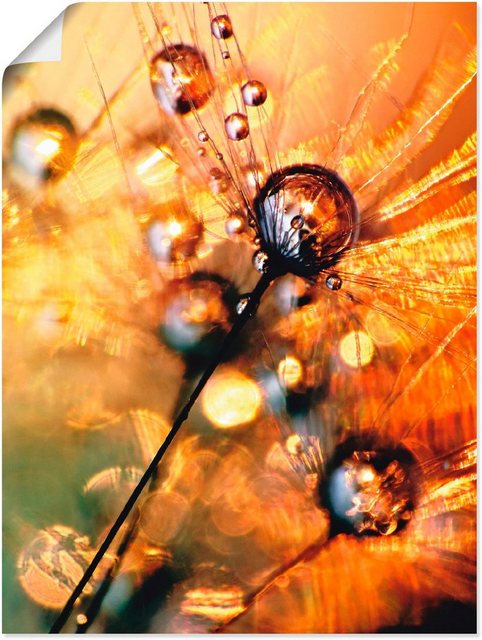 Artland Wandbild »Pusteblume Energy«, Blumen (1 Stück), in vielen Größen & Produktarten - Alubild / Outdoorbild für den Außenbereich, Leinwandbild, Poster, Wandaufkleber / Wandtattoo auch für Badezimmer geeignet-Bilder-Inspirationen