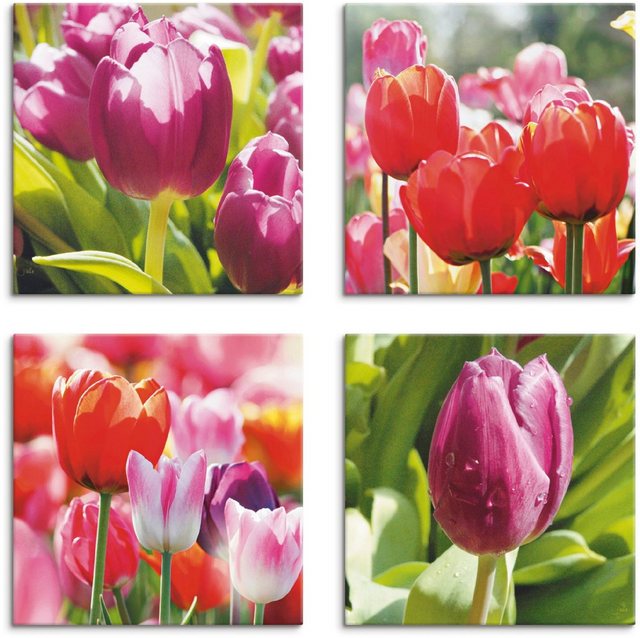 Artland Leinwandbild »Frühling und Tulpen«, Blumen (4 Stück)-Bilder-Inspirationen