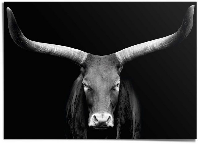 Reinders! Poster »Afrikanische Kuh«-Bilder-Inspirationen