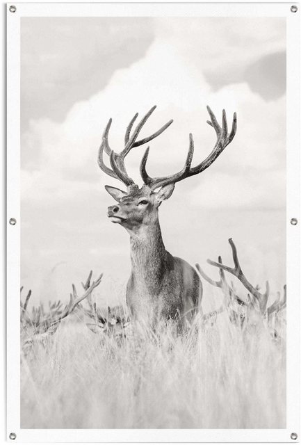 Reinders! Poster »Stolzer Hirsch«-Bilder-Inspirationen