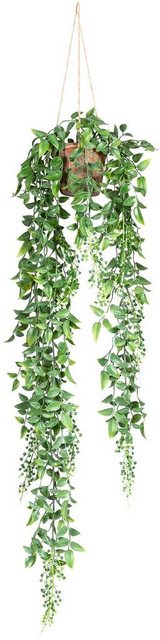 Kunstranke »Ruscus-Hängeampel« Blatthänger, Creativ green, Höhe 70 cm-Kunstpflanzen-Inspirationen