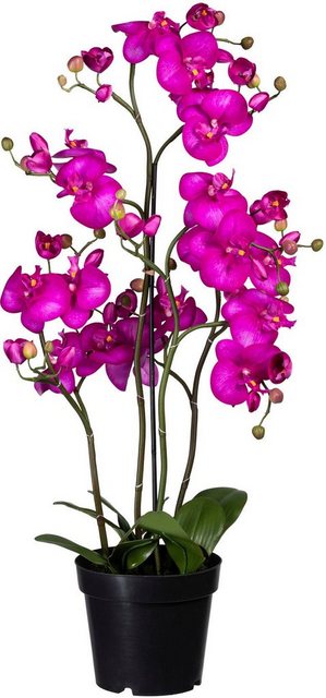 Kunstorchidee »Phalaenopsis« Orchidee Phalaenopsis, Creativ green, Höhe 90 cm-Kunstpflanzen-Inspirationen