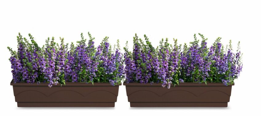 Poétic Blumenkasten »Lago A. Comfort« (1 Stück), BxTxH: 75x18x22 cm-Pflanzgefäße-Ideen für dein Zuhause von Home Trends