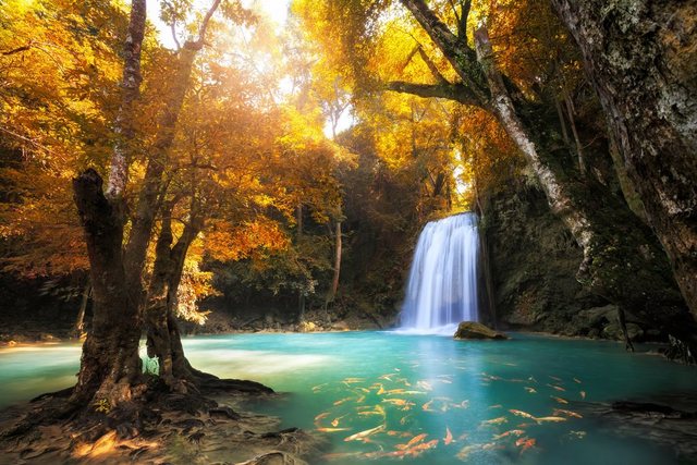 Papermoon Fototapete »Waterfall in Kanchanaburi, Thailand«, glatt-Tapeten-Inspirationen