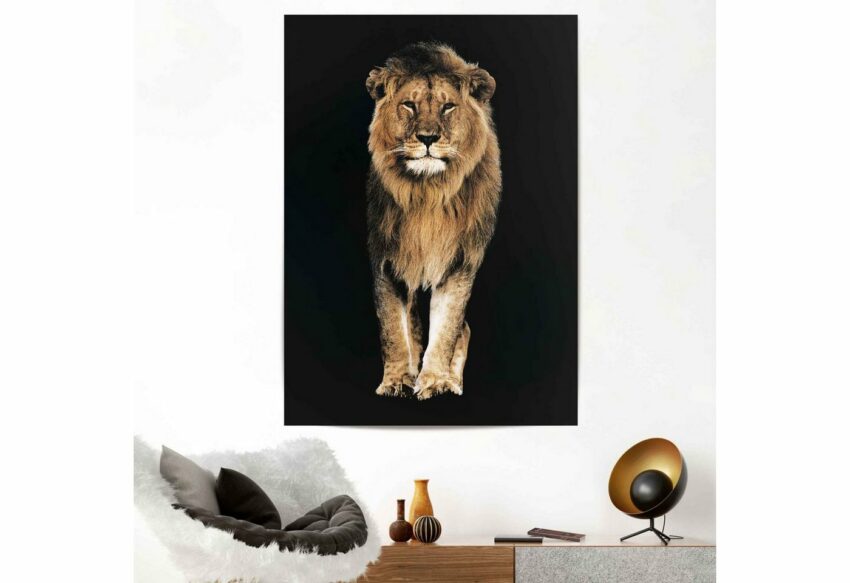 Reinders! Poster »Löwe«-Bilder-Ideen für dein Zuhause von Home Trends