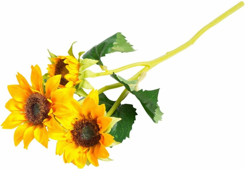 Kunstblume »Sonnenblume« Sonnenblume, Botanic-Haus, Höhe 38 cm-Kunstpflanzen-Ideen für dein Zuhause von Home Trends