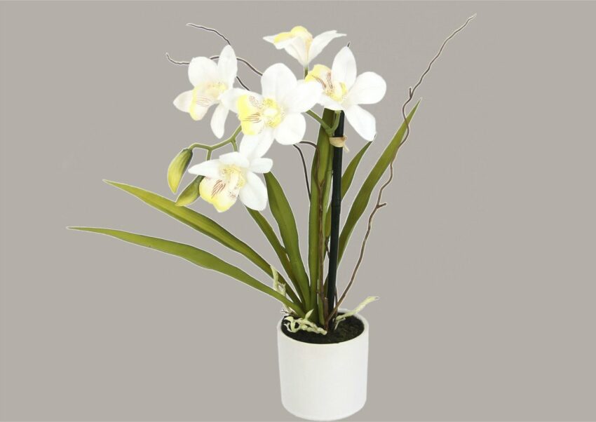 Kunstorchidee »Orchidee«, I.GE.A., Höhe 33 cm, im Keramiktopf-Kunstpflanzen-Ideen für dein Zuhause von Home Trends