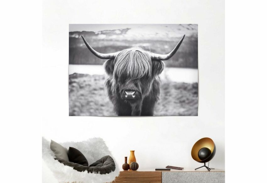 Reinders! Poster »Hochländer Kuh«-Bilder-Ideen für dein Zuhause von Home Trends